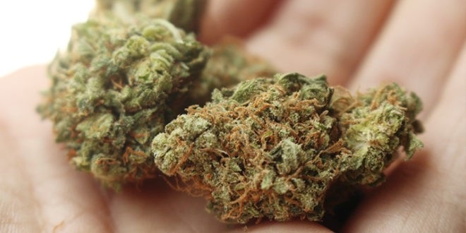 Arizona Medical Marijuana Card